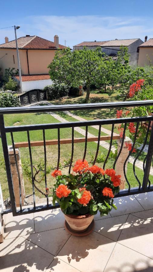 Apartment Grbin