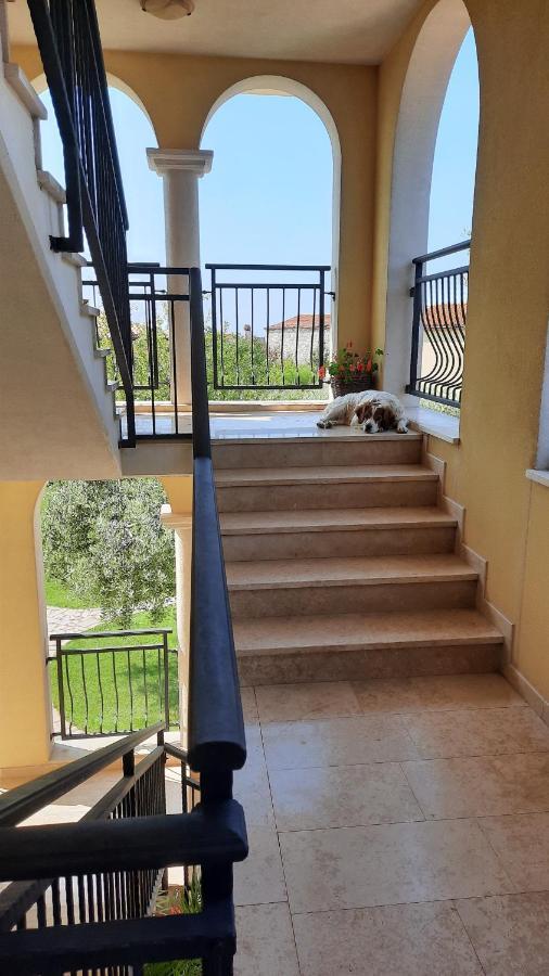 Grbin Apartament *