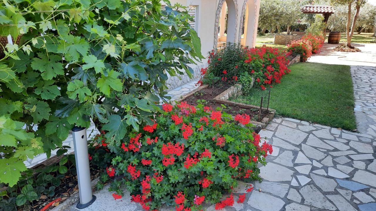 Grbin Apartament
